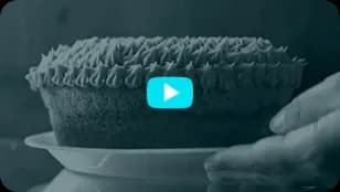 bg video