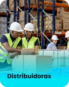 Segmento de Distribuidoras