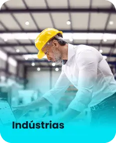 Segmento de Industria