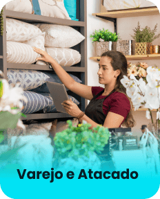 Segmento de Varejo