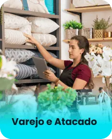 Segmento de Varejo